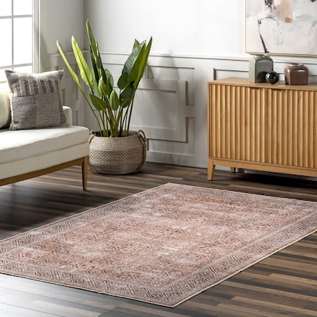 Nuloom Xenia Faded Transitional Machine Washable Area Rug 4ft x 6ft BIJL12B-406